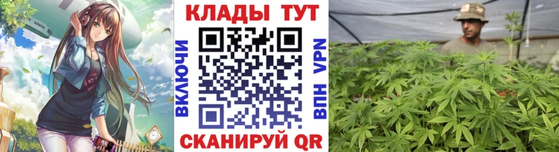 Наркотические вещества Балашиха Галлюциногенные грибы A PVP МЕФ Конопля COCAIN ГАШ