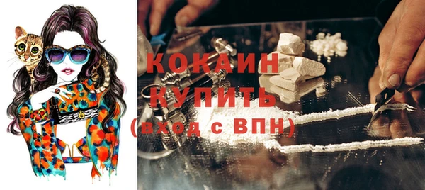 mdpv Горно-Алтайск