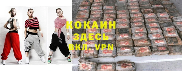 mdpv Горно-Алтайск